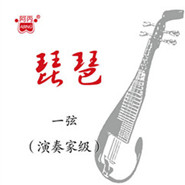 演奏家琵琶一弦